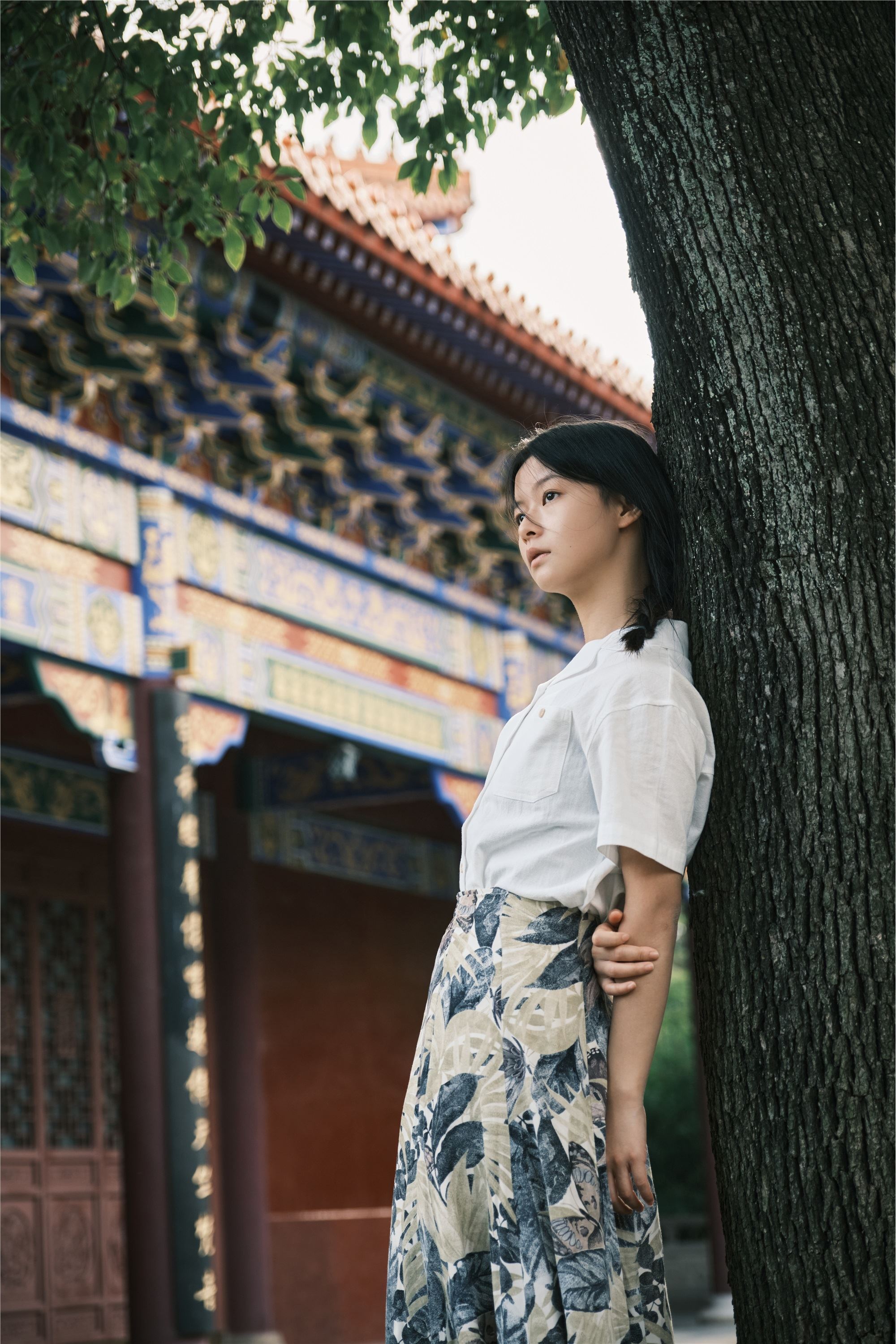 YITUYU艺图语 2025.01.23 西普陀寺 蝴蝶妹妹